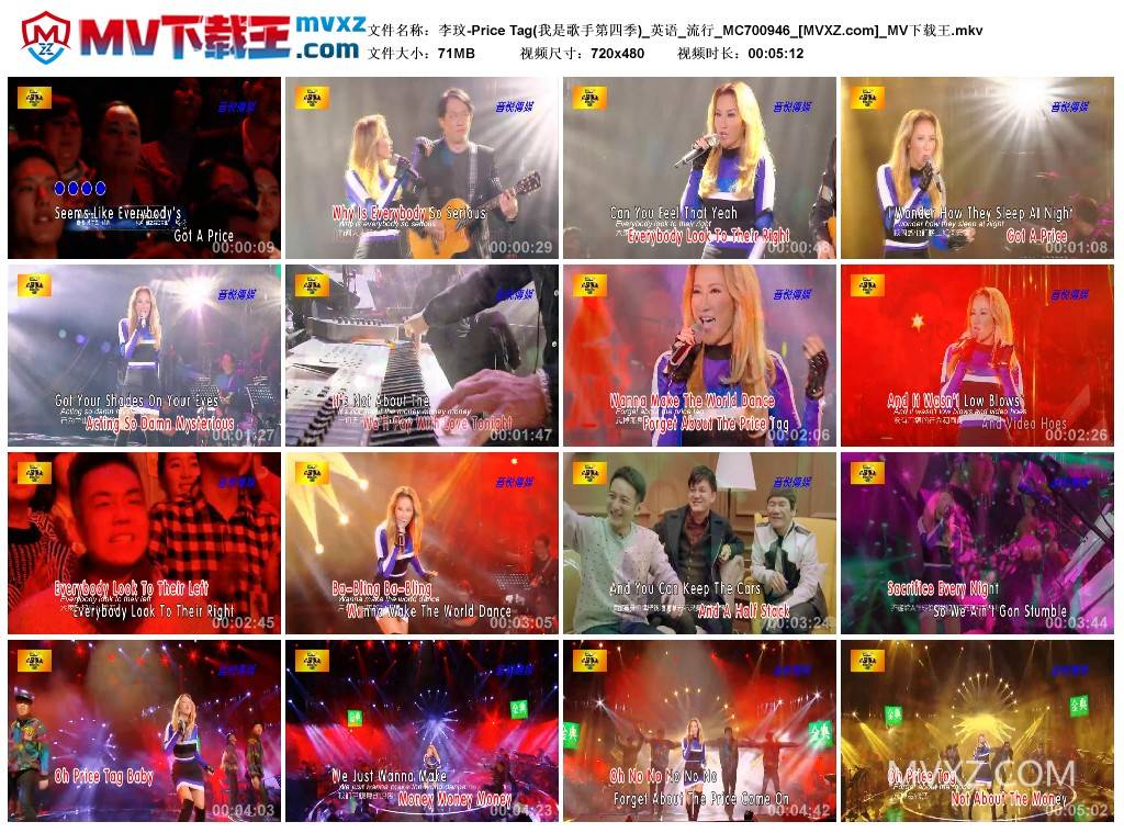 李玟-Price Tag(我是歌手第四季)_英语_流行_MC700946